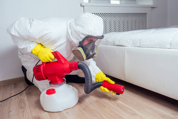 Insect Control in Elizabethville, PA