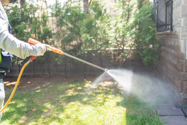 Spider Control Near Me in Elizabethville, PA