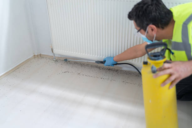 Best Flea Control Services  in Elizabethville, PA